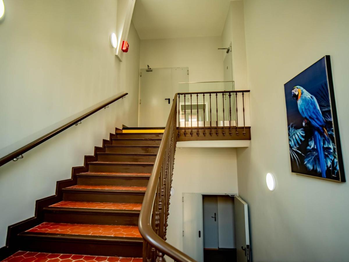 Banana'S Camp Hostel Cannes Ngoại thất bức ảnh